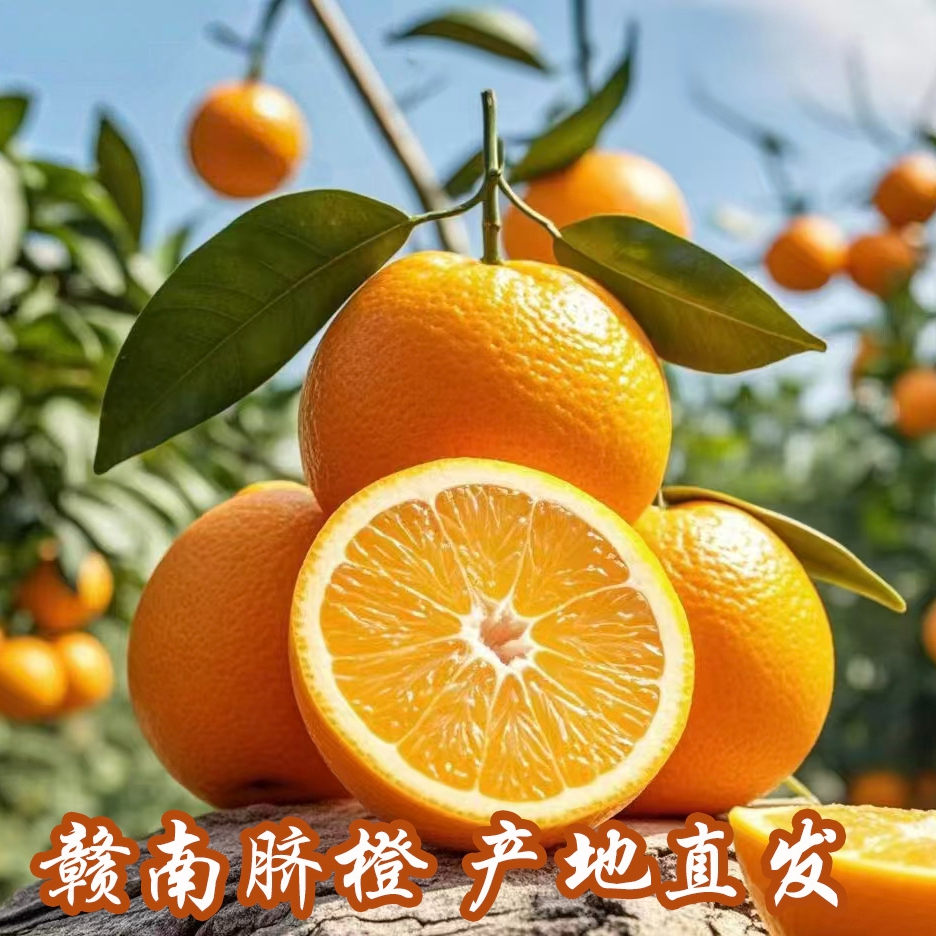 [顺丰包邮]正宗赣南脐橙新鲜当季水果橙香四溢鲜嫩多汁5斤/10斤装