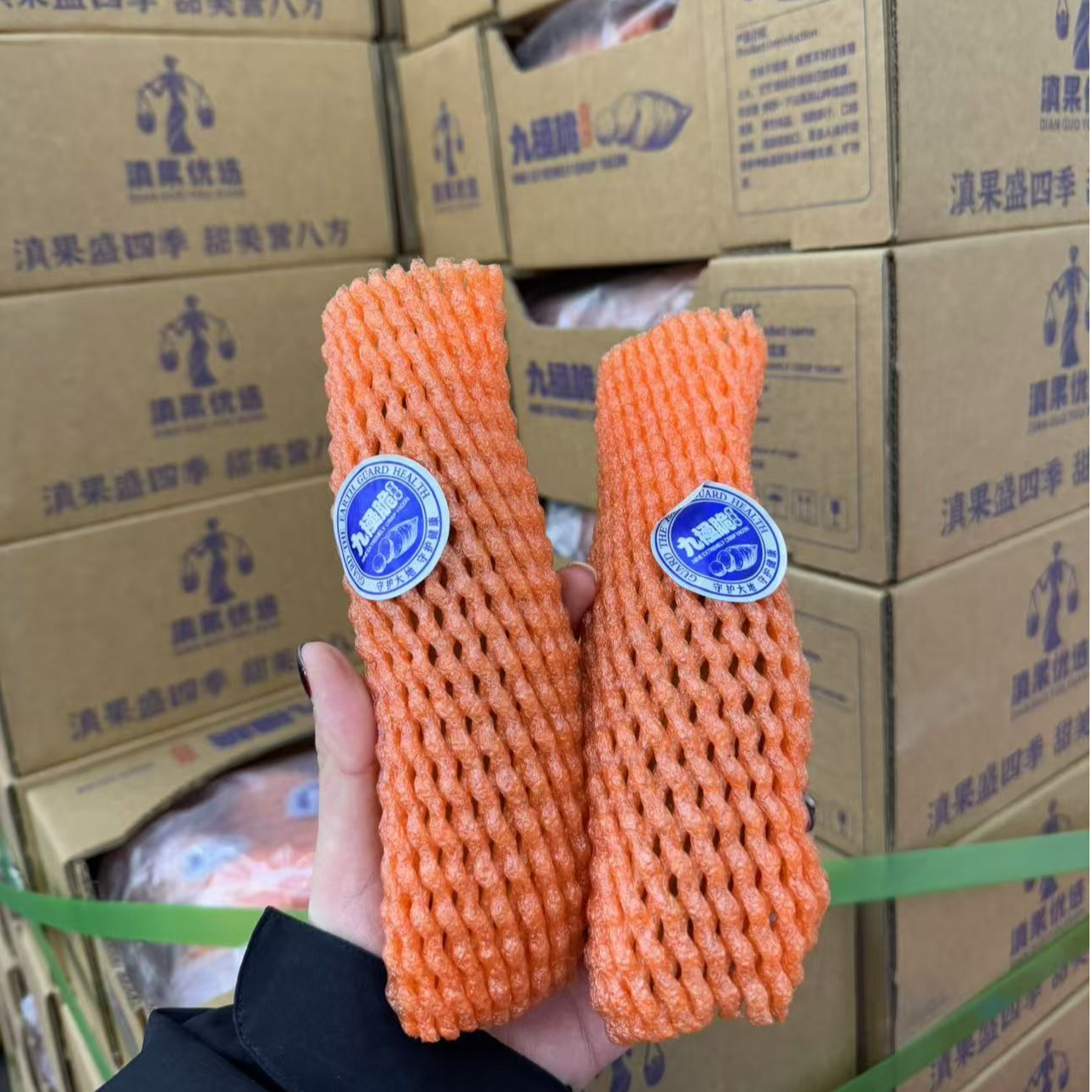 雪莲果1箱