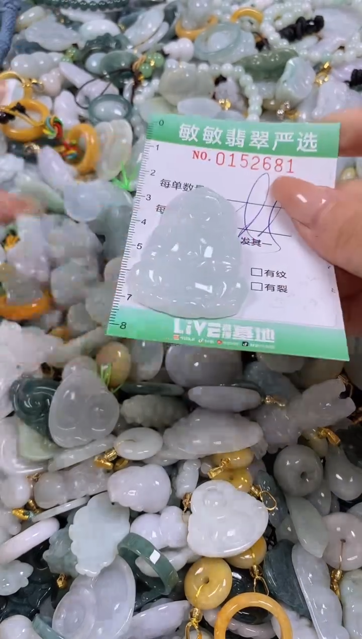 翡翠未镶嵌颈饰闪购0152681