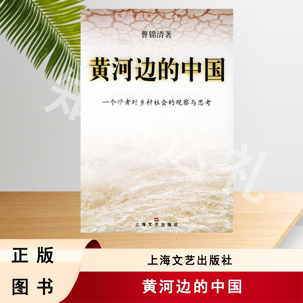 正版玖品 黄河边的中国 曹锦清 著 上海文艺出版社
