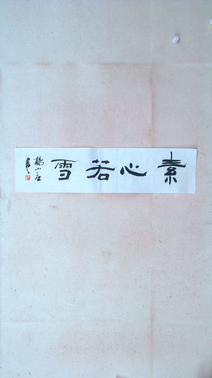 【闪购商品】书法 杨小立河南南阳69*17一平尺