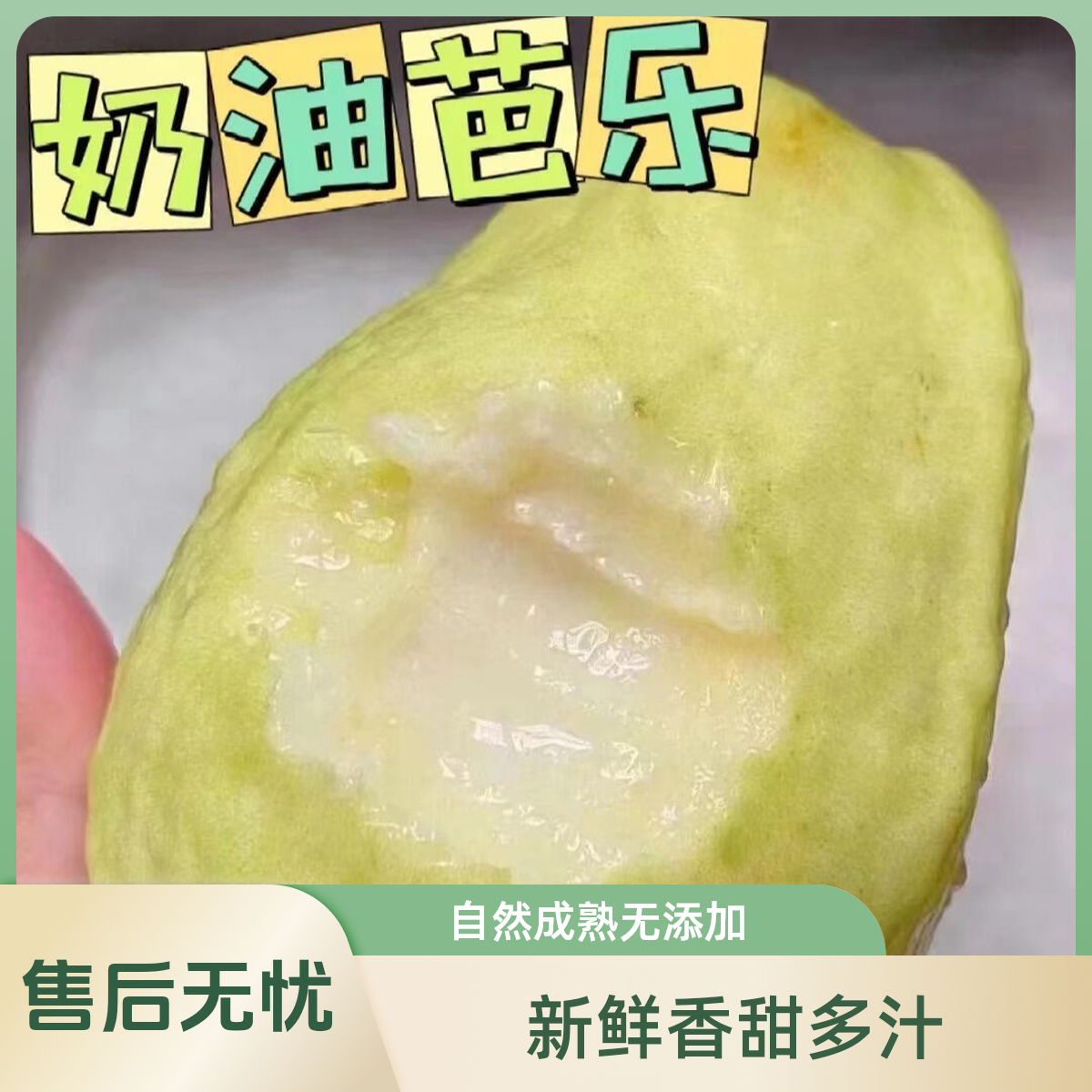 鲜果维广西奶油芭乐 净重2.3-2.7斤（4-6粒）辽宁省