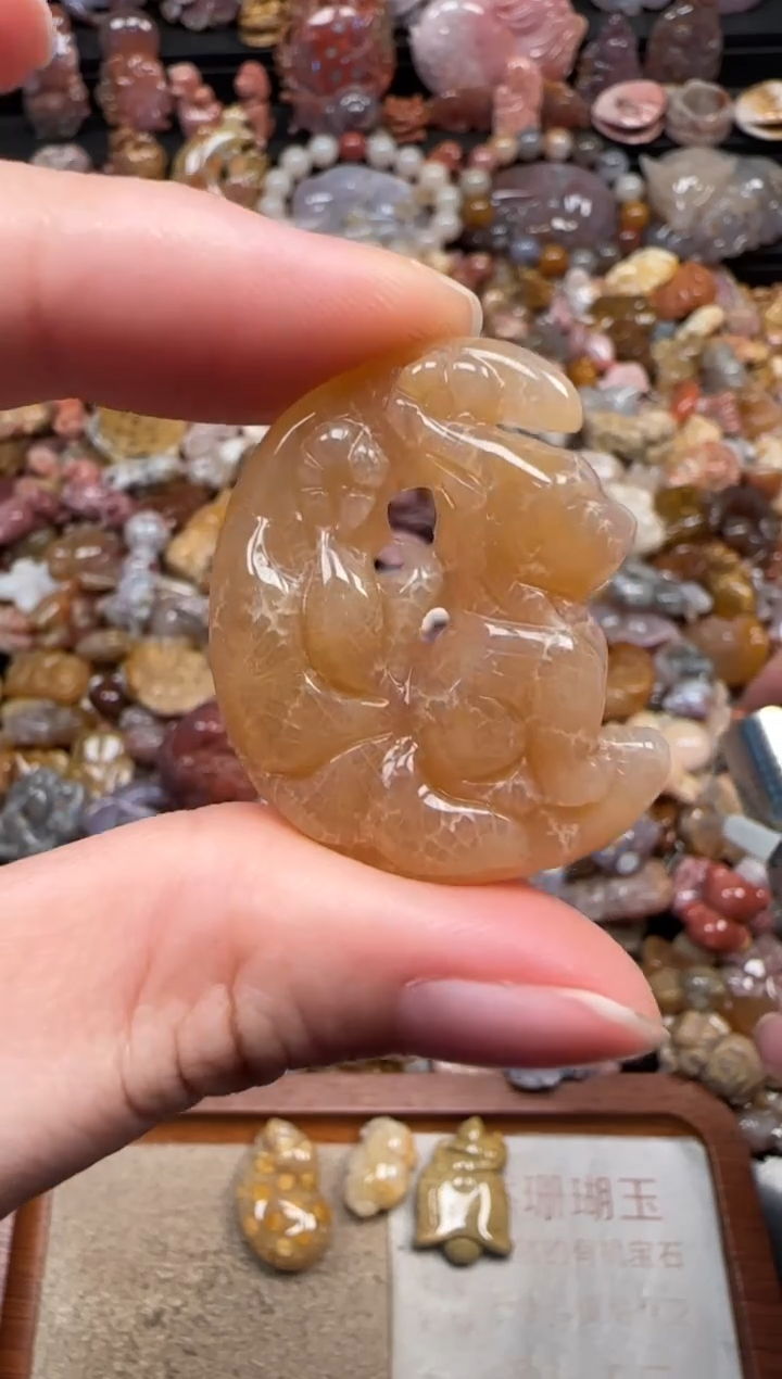 颈饰未镶嵌硅化珊瑚（珊瑚玉）879