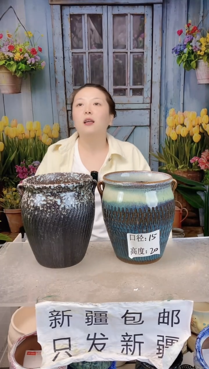 002蓝咖双耳两个装 口16高20