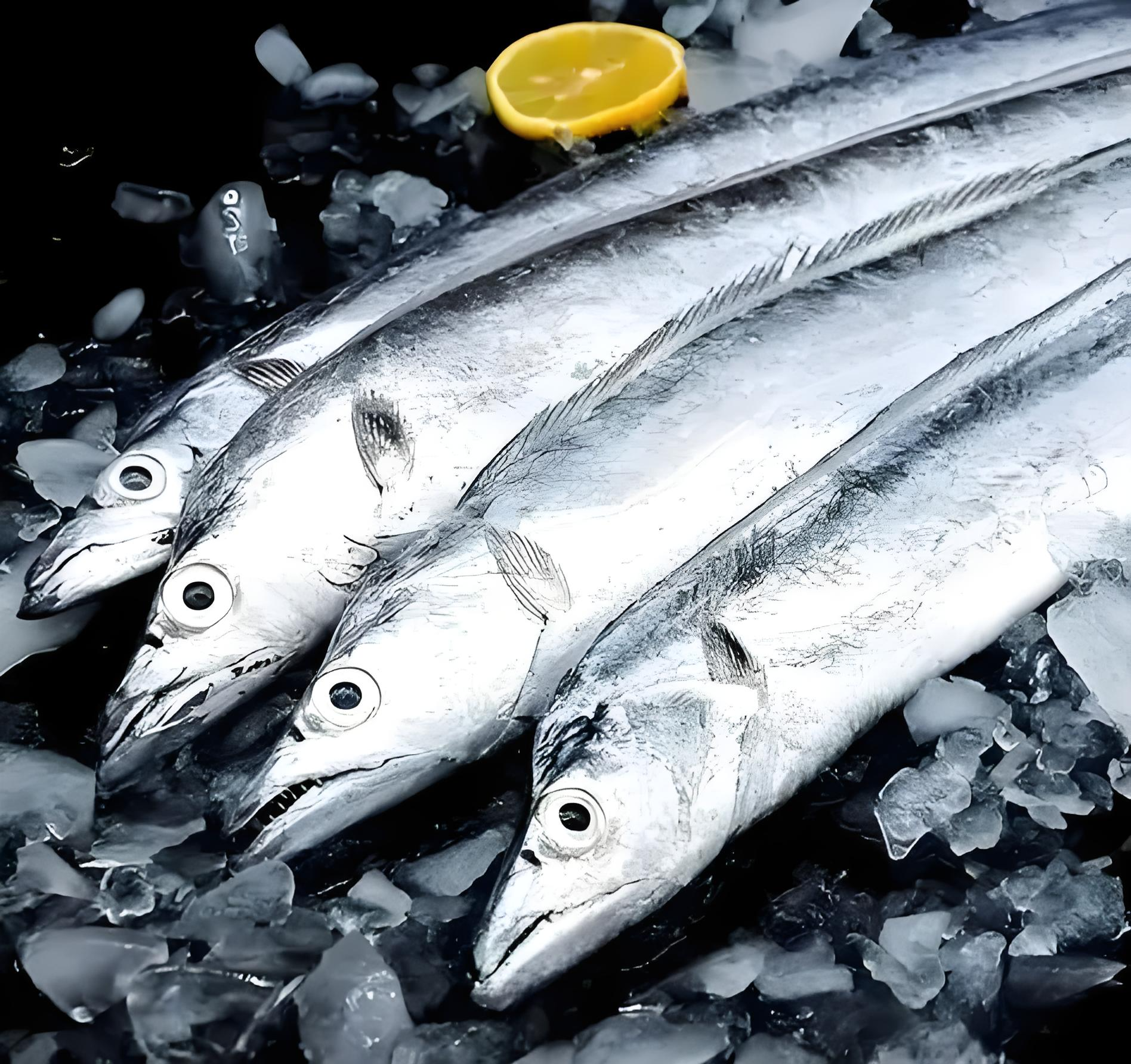 【4斤带鱼】4斤正宗鹰钩嘴小眼带东海野生海捕【介意破肚慎拍】