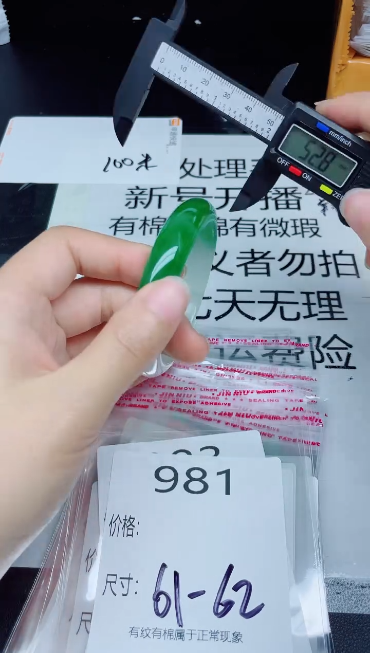 未镶嵌手镯翡翠981