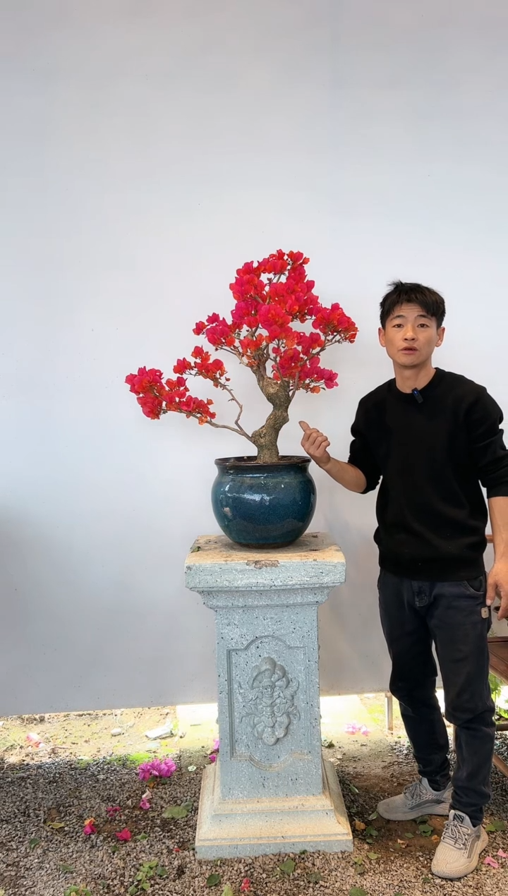 【闪购商品】aa934