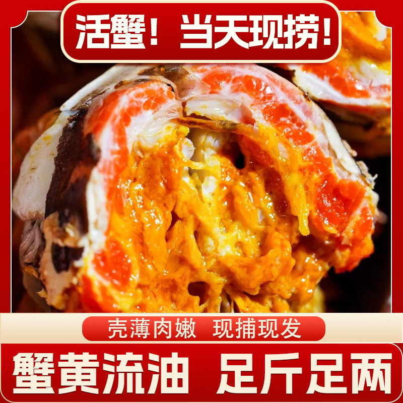 【活蟹现发】鲜活大闸蟹 公蟹3.0-3.3两 母蟹2.6-2.3两 8/10只 螃蟹