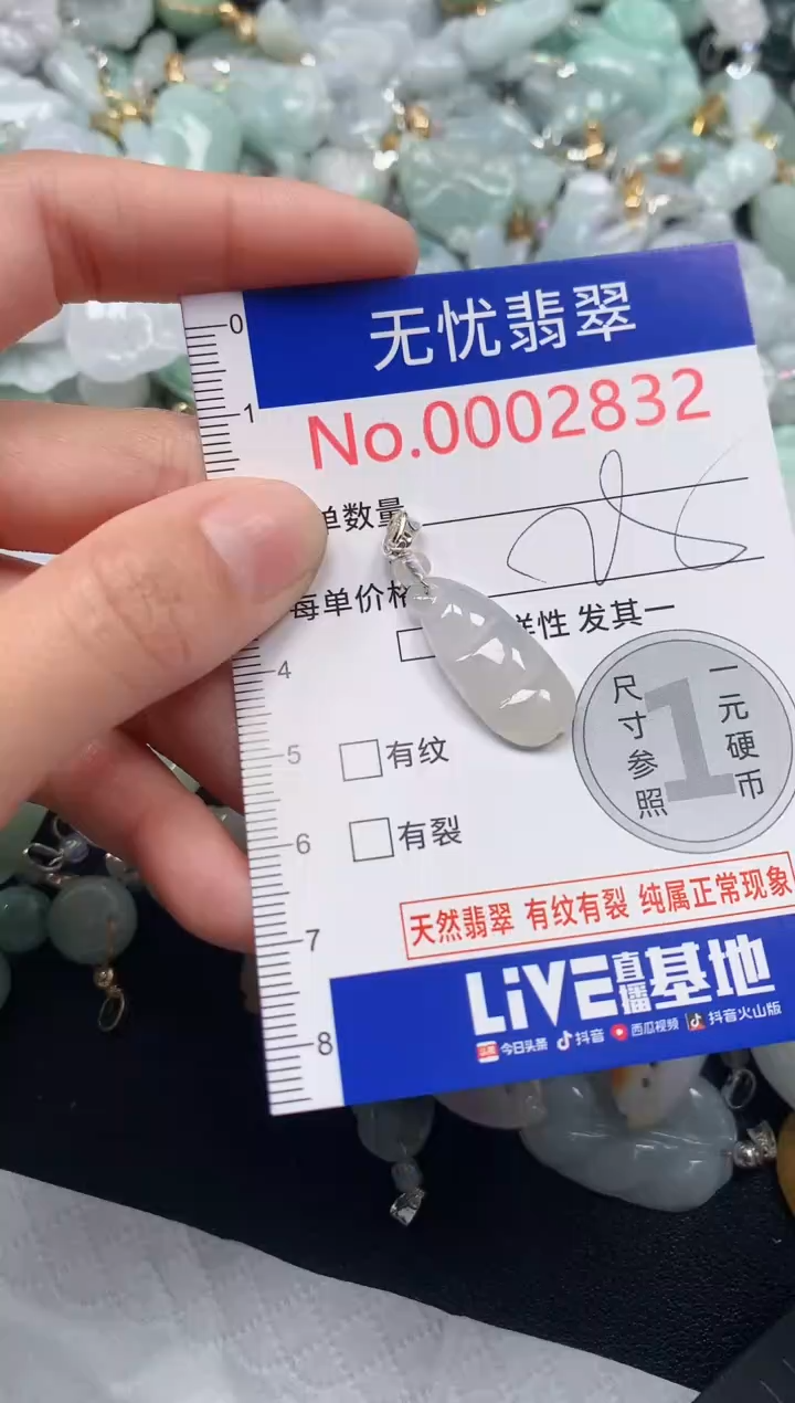 颈饰未镶嵌翡翠2832