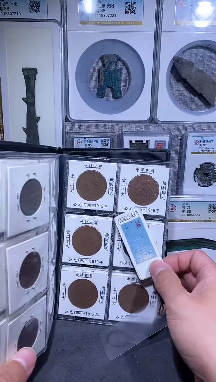 【闪购商品】铜品泉 铜元版别册