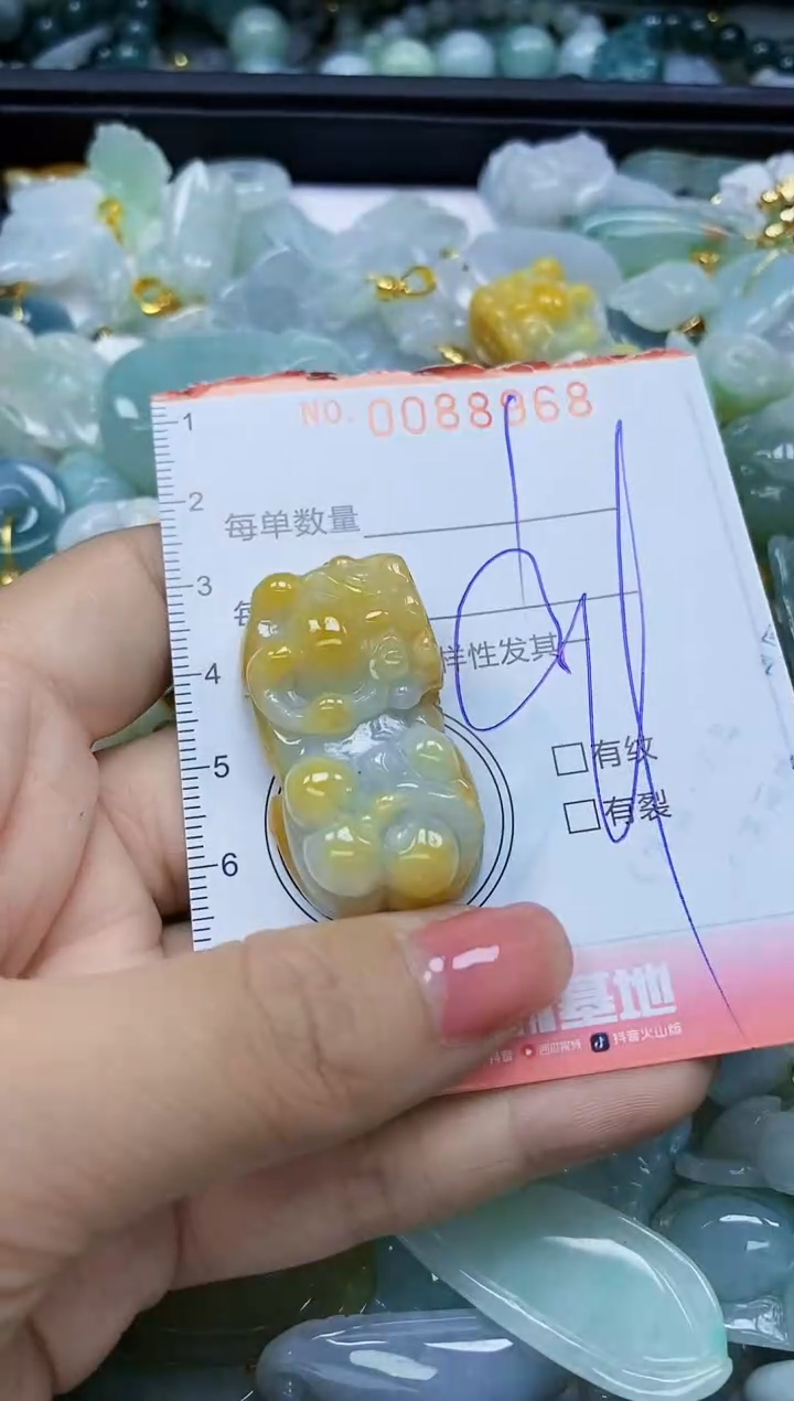 【闪购商品】翡翠颈饰未镶嵌闪购0088968