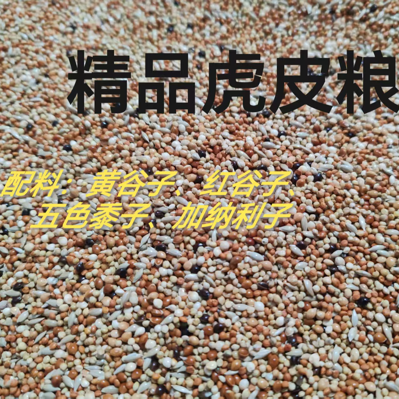 【精品现配】虎皮大头小头谷物混合增肥亮羽虎皮鹦鹉专用鹦鹉食粮
