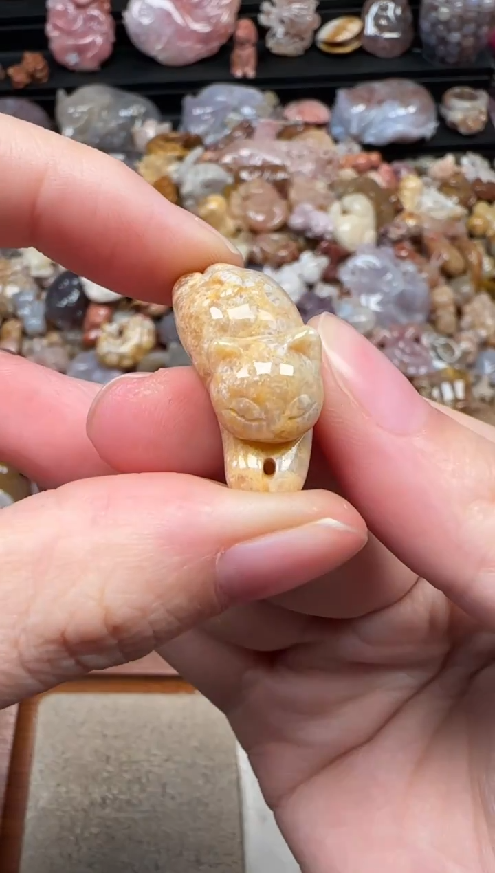 颈饰未镶嵌硅化珊瑚（珊瑚玉）268