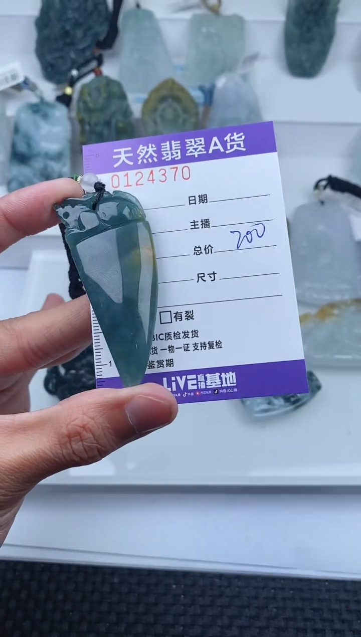 【闪购商品】翡翠颈饰未镶嵌         370