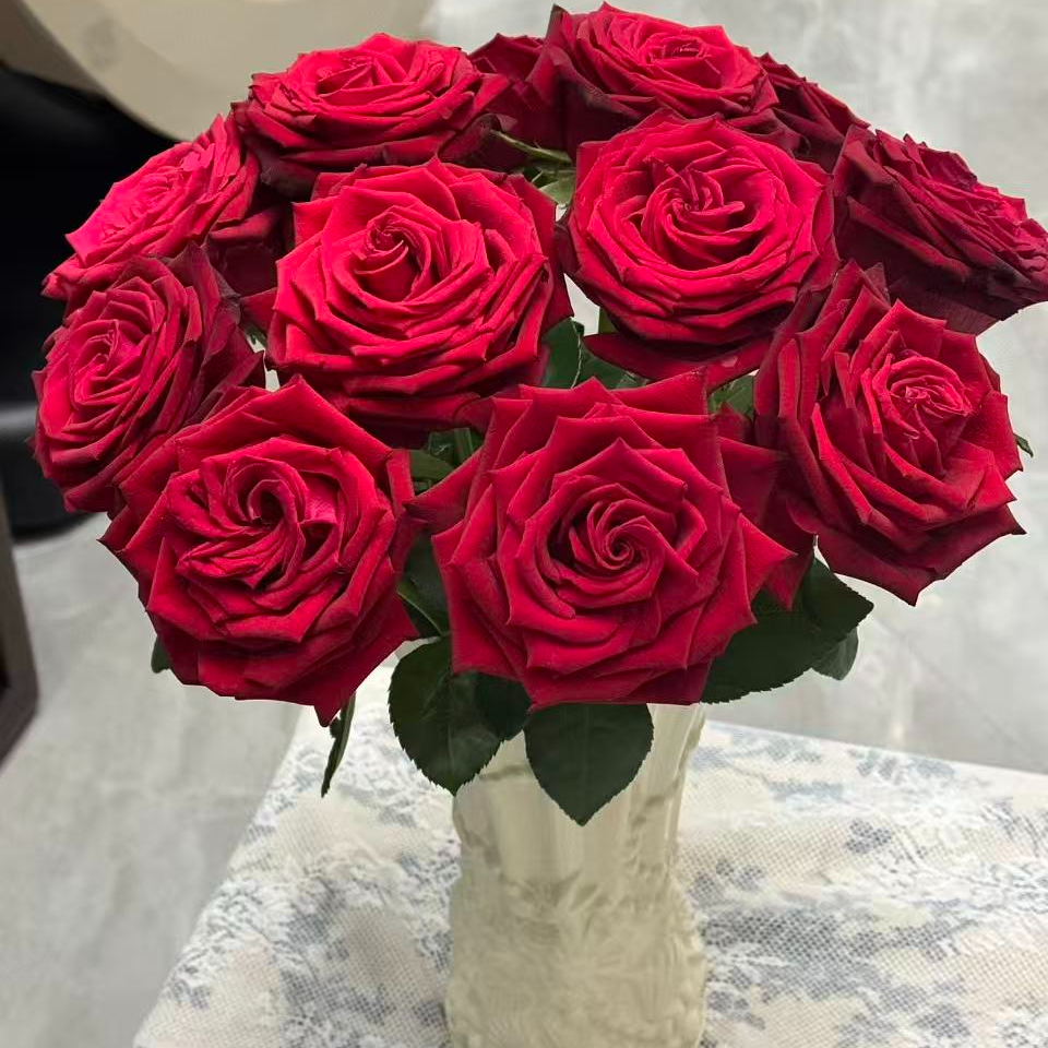 【陌上花开】薛宝钗-单头玫瑰