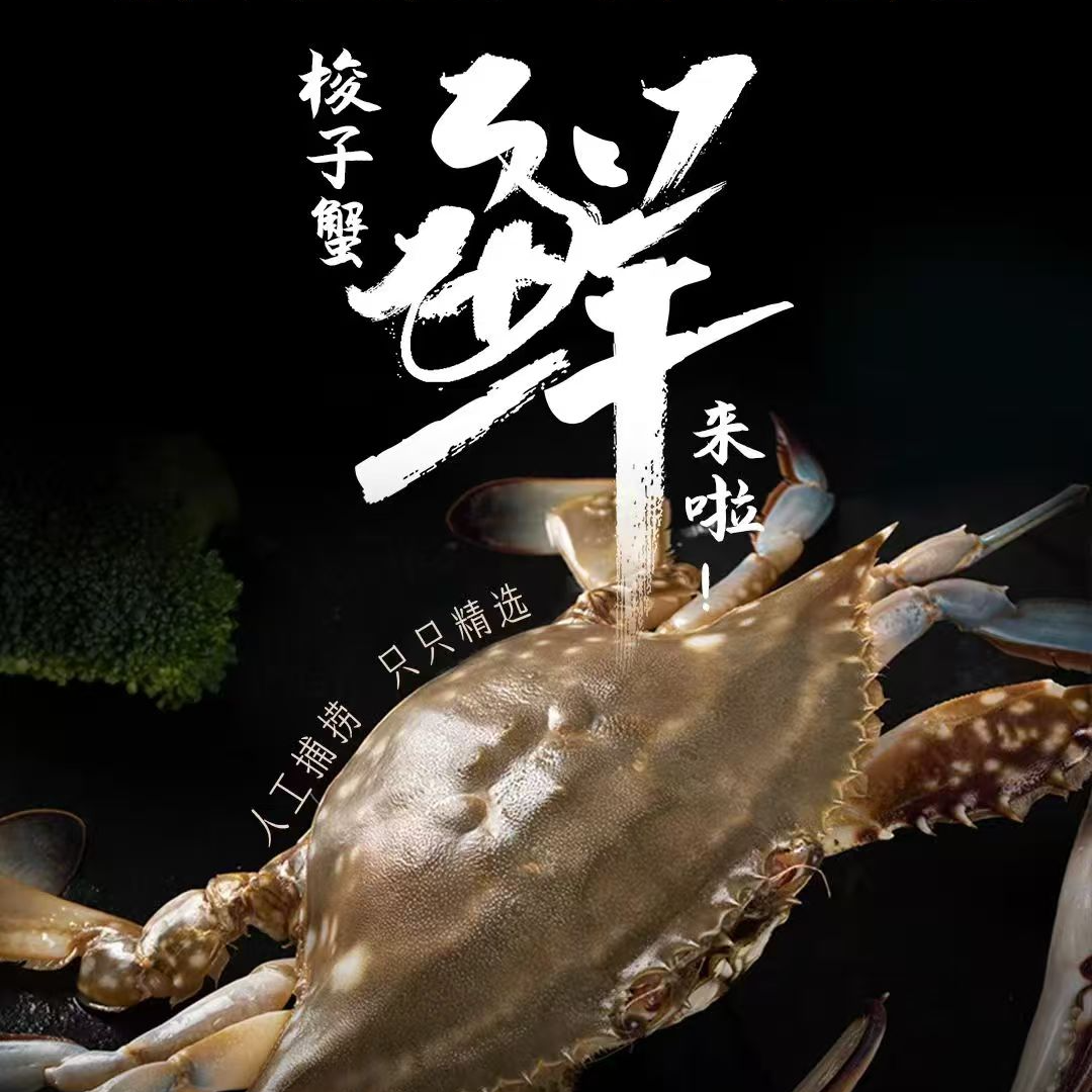 东海海捕梭子蟹一份4斤单只200-250g左右顺丰冷链发货公蟹
