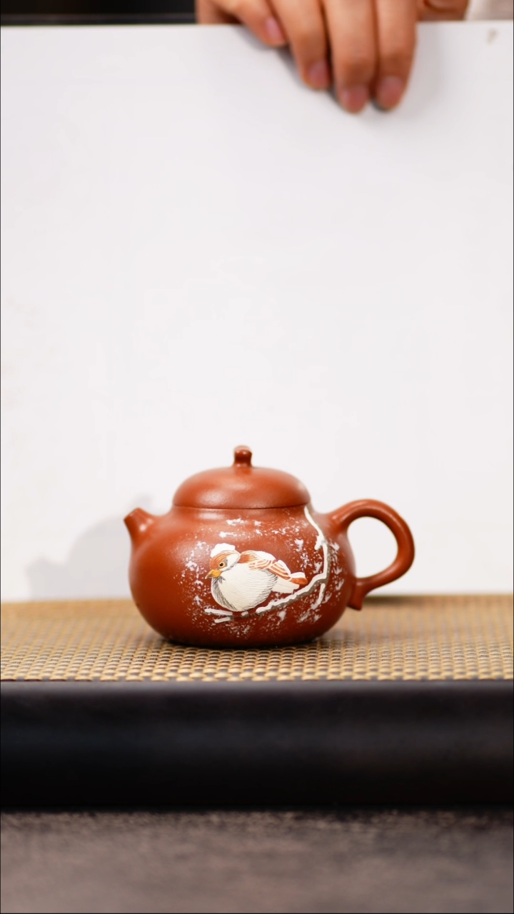 SST68小红泥雪鸟文旦