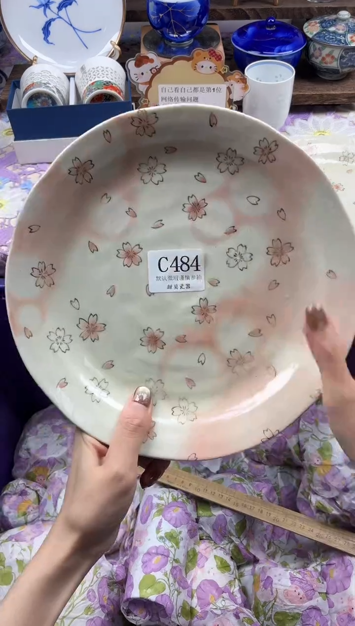 瓷片.*                C484