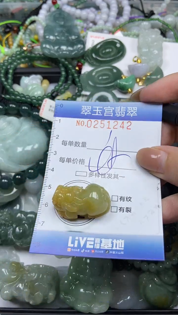颈饰未镶嵌翡翠闪购C0251242