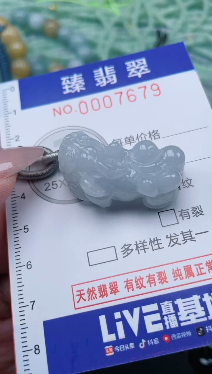 翡翠未镶嵌颈饰.0007679