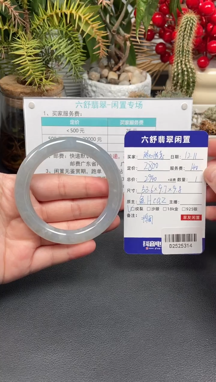 未镶嵌手镯翡翠随**意D2525314