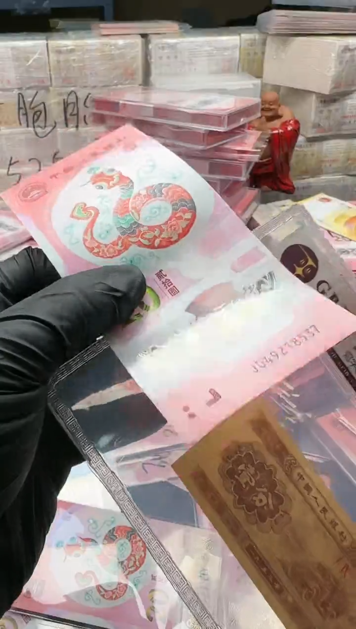 【闪购商品】纸2025年蛇乱蛇单张随机发国评