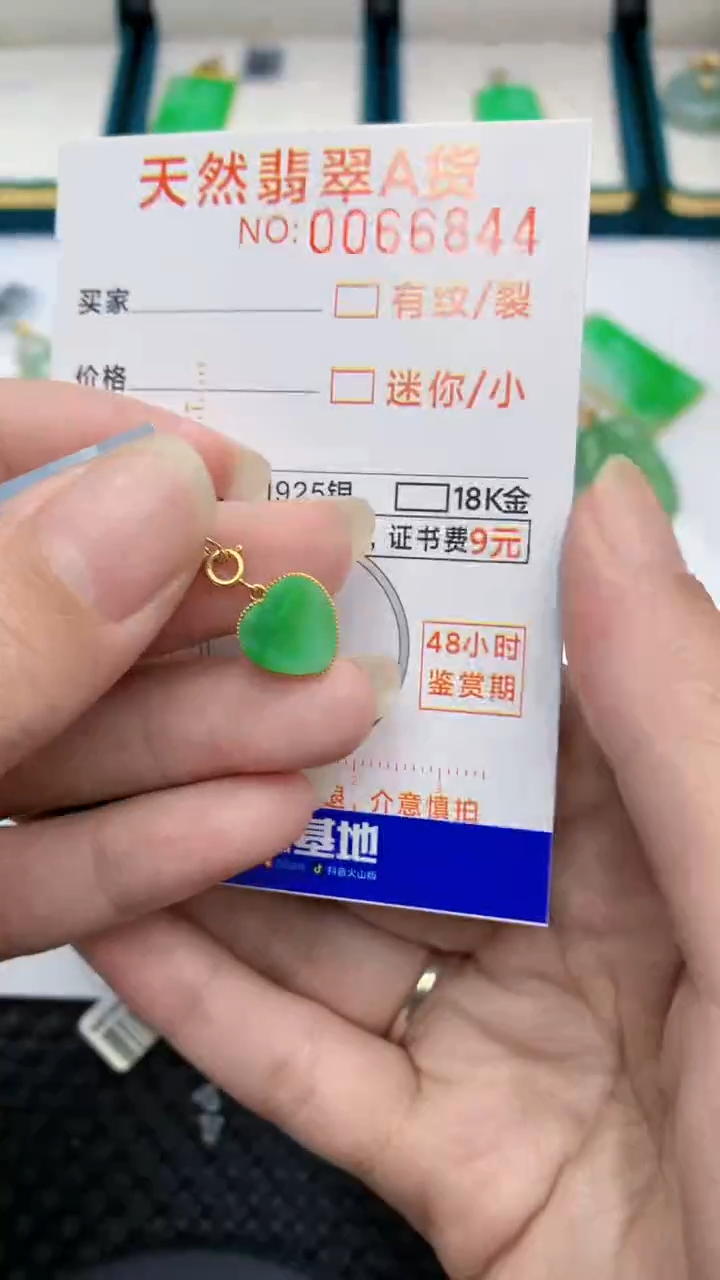 【闪购商品】翡翠颈饰18K金镶嵌            8