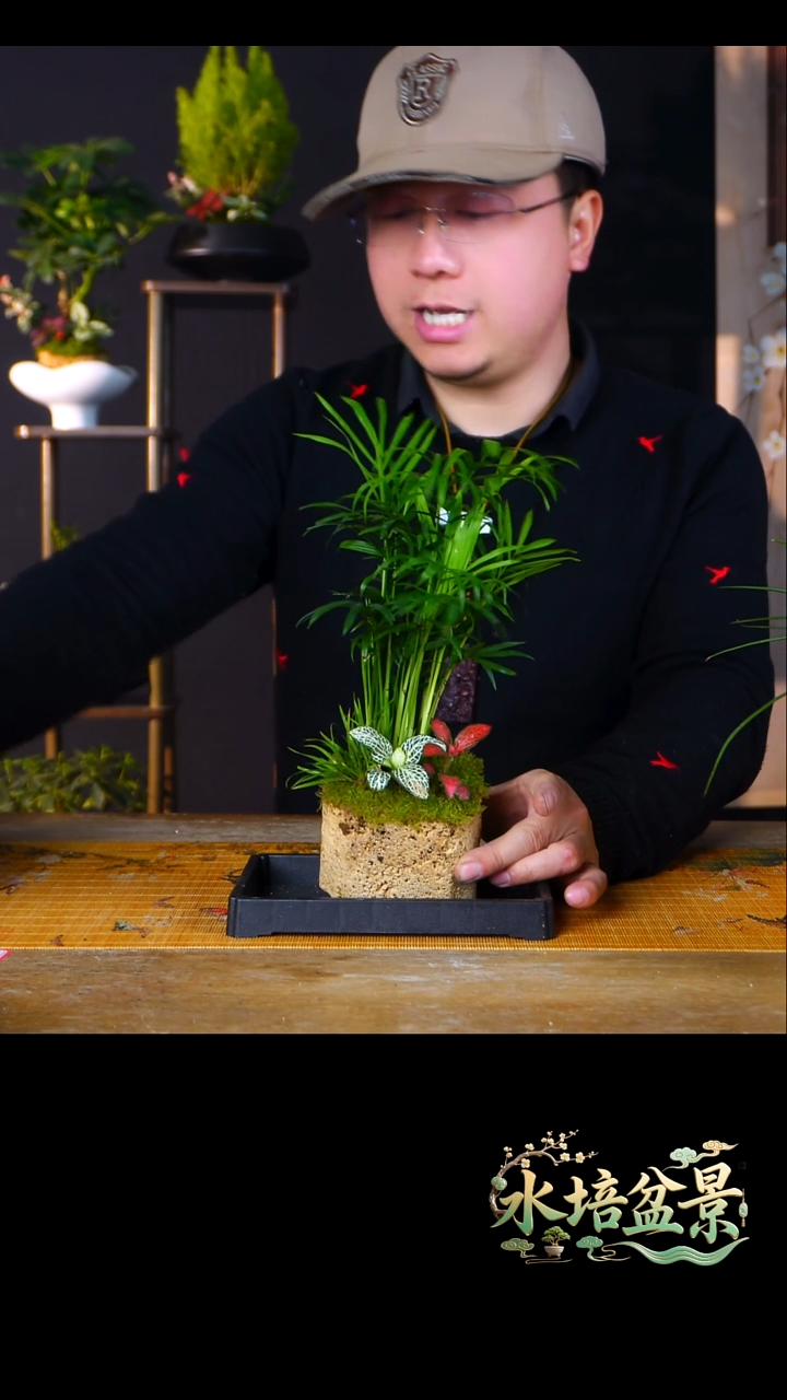 石云社一物一拍组合盆栽14