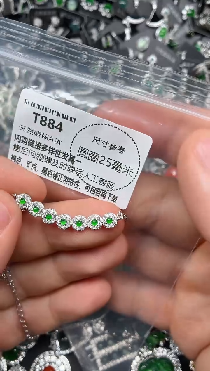 翡翠未镶嵌颈饰T884锁骨链