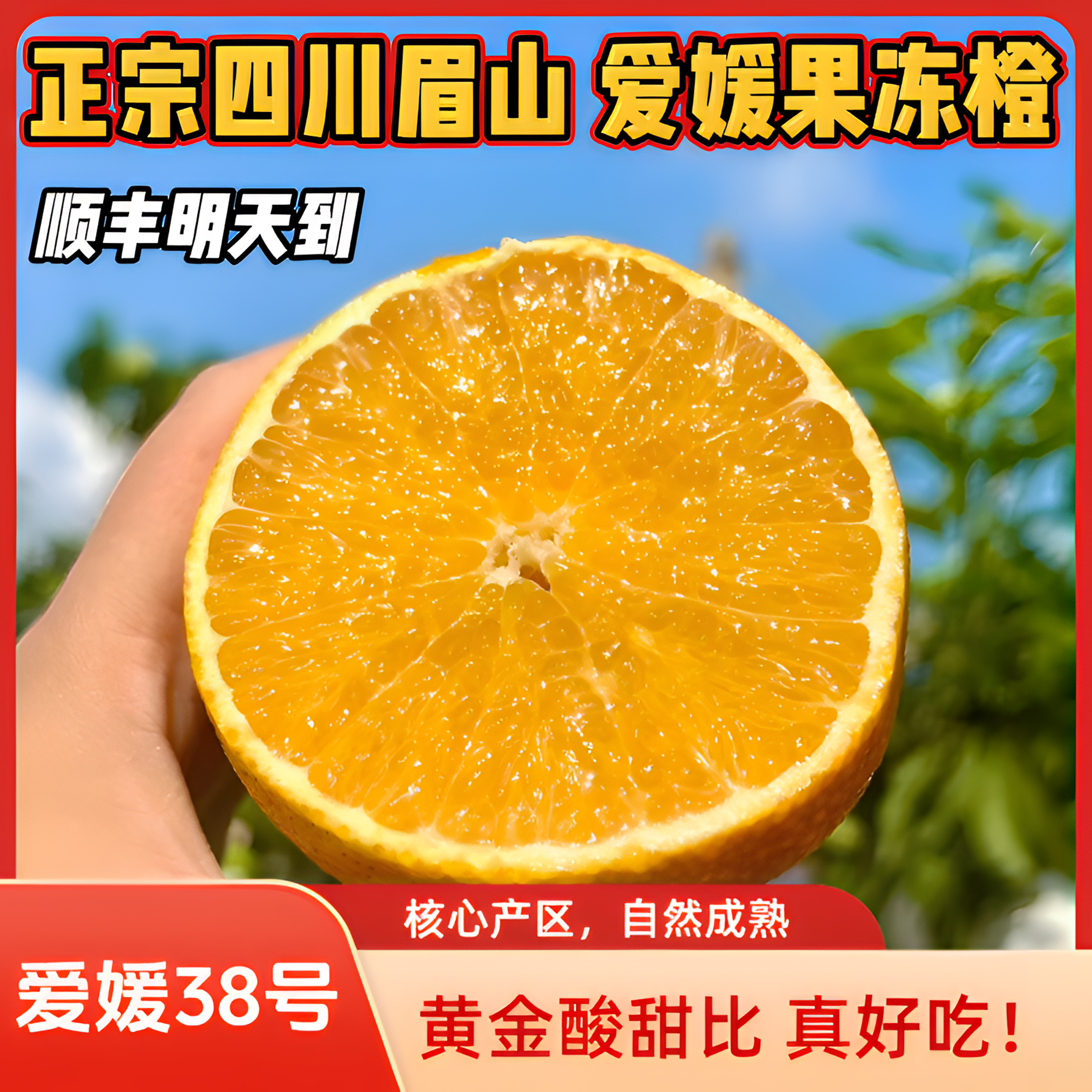 【四川眉山】爱媛38号果冻橙正宗眉山核心产区黄金酸甜比8分甜2分酸顺丰今天买明天到四川省
