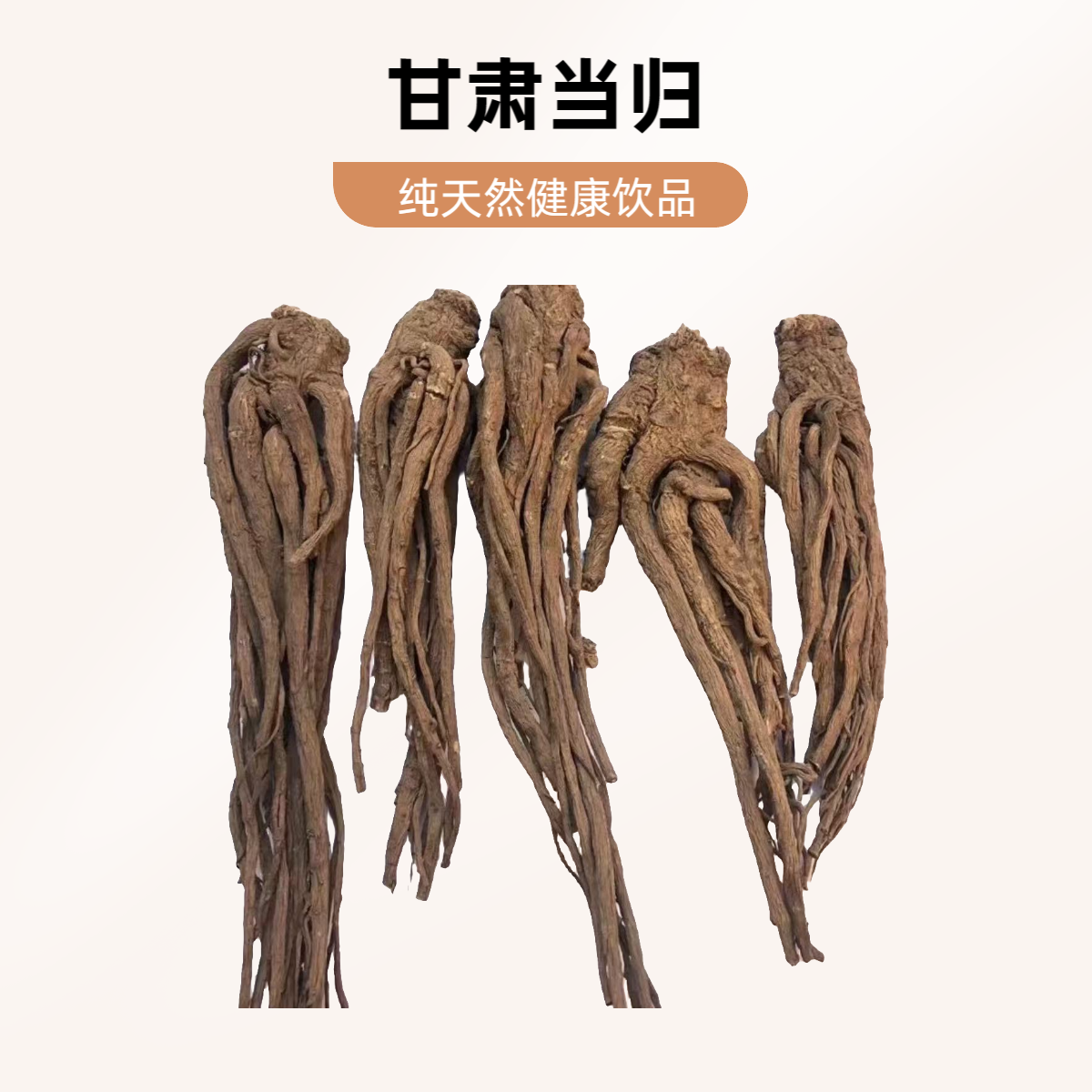 【甘肃当归】甘肃原条当归 手工挑选原产地发货泡水煲汤