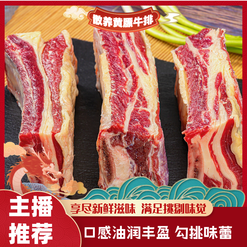 黄膘牛排 精选四肋牛排中段 清炖红烧 原切内蒙顺丰冷链包邮 清真