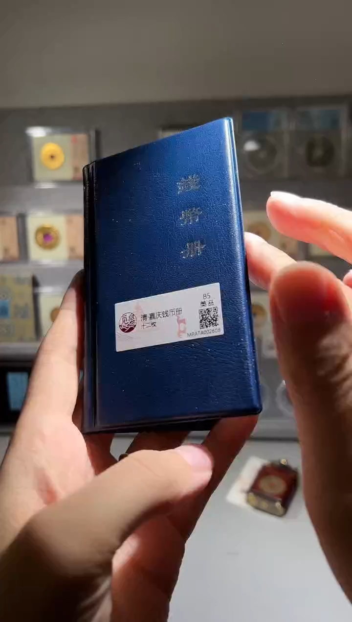 铜带评级嘉庆钱币册共12枚