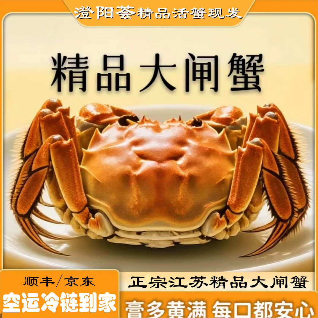 【活蟹】澄阳荟大闸蟹 精品  母蟹3.0-2.7两/只 10只京东顺丰A