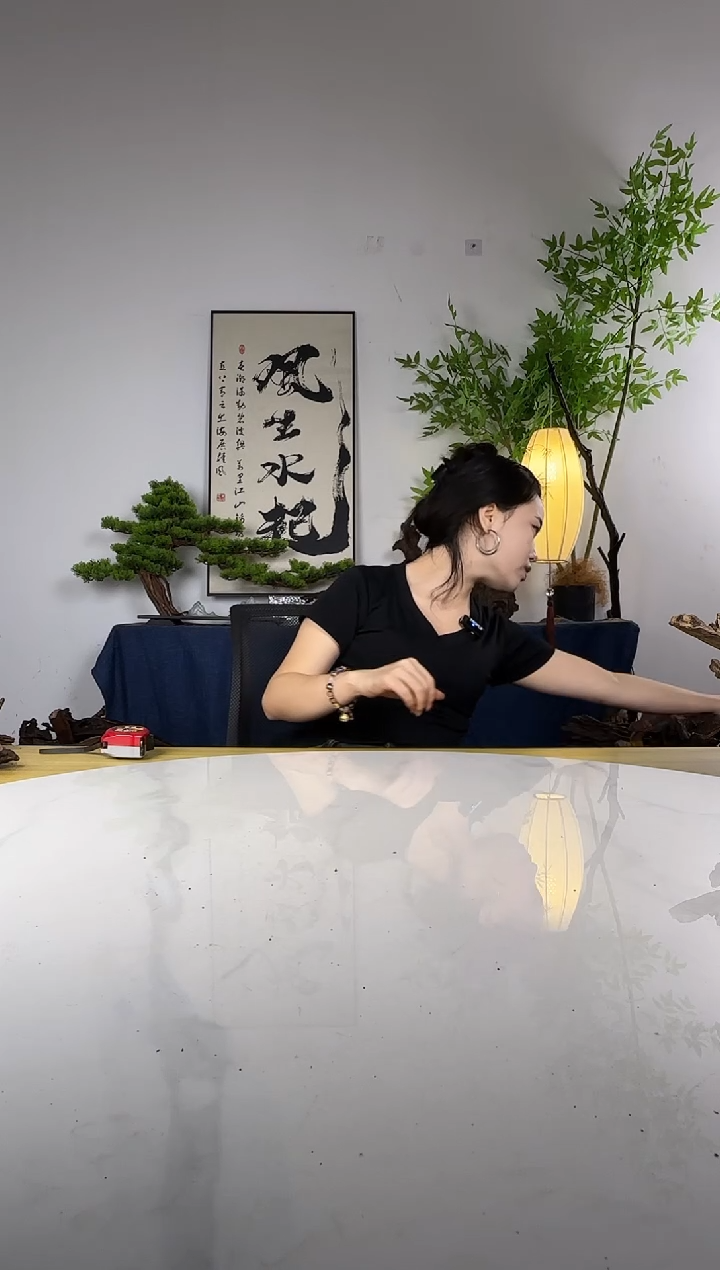 气**弹拍这个定向编号64