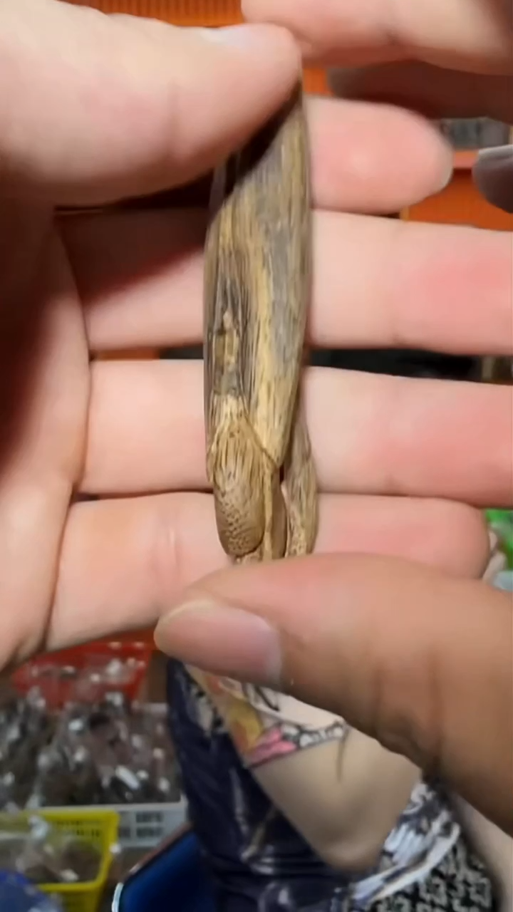 沉香吊坠176号多样性发一