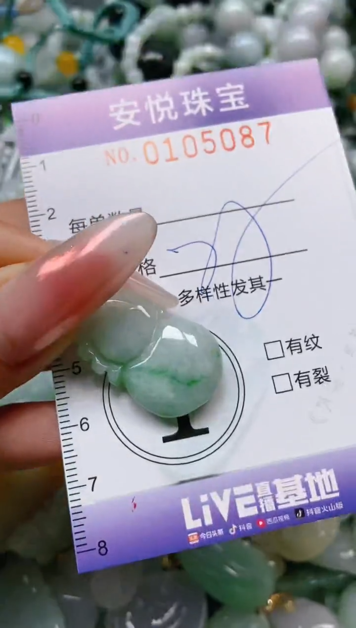 【闪购商品】翡翠颈饰未镶嵌闪购0105087