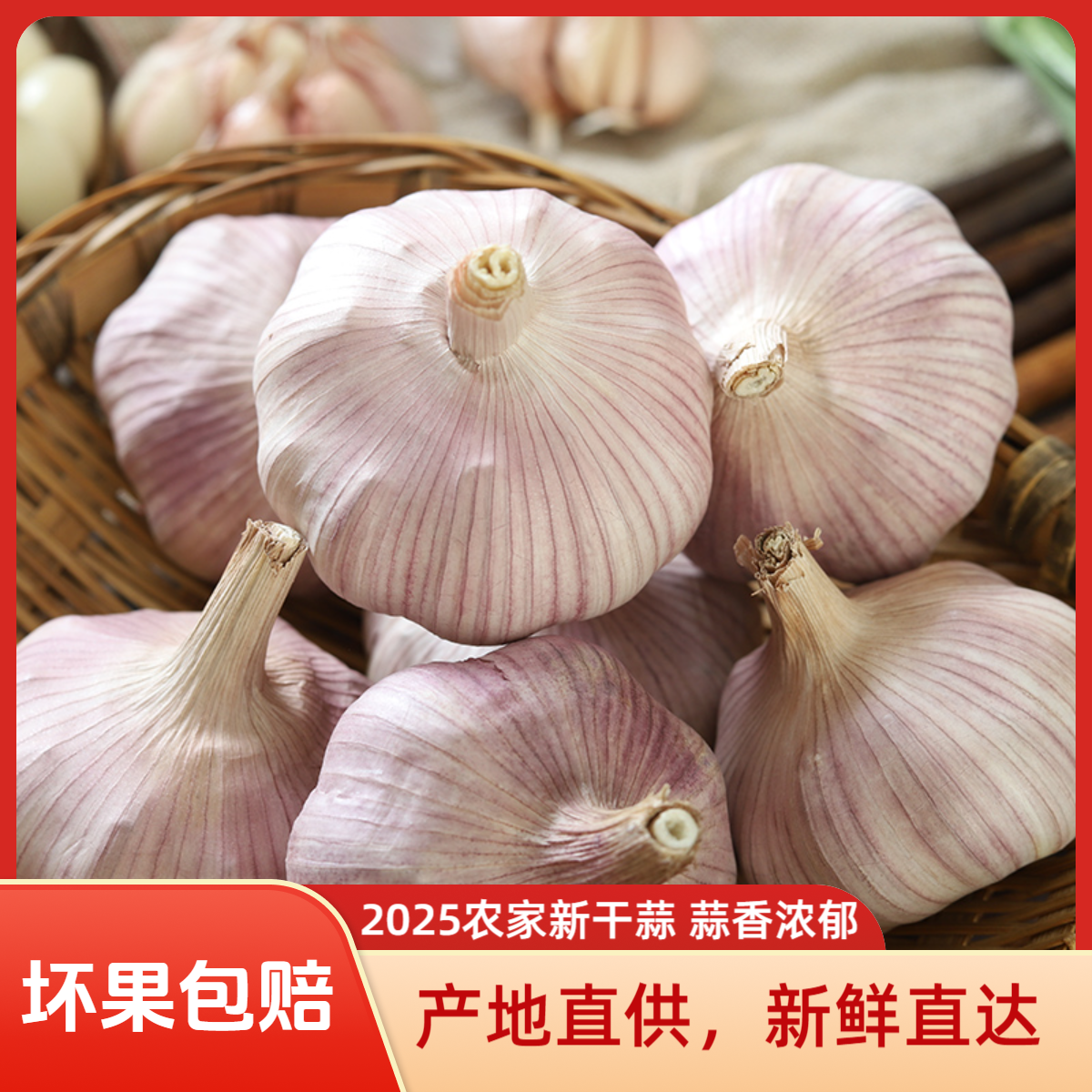 2025年紫白皮干大蒜农家蒜可吃可种蒜香浓郁产地直发