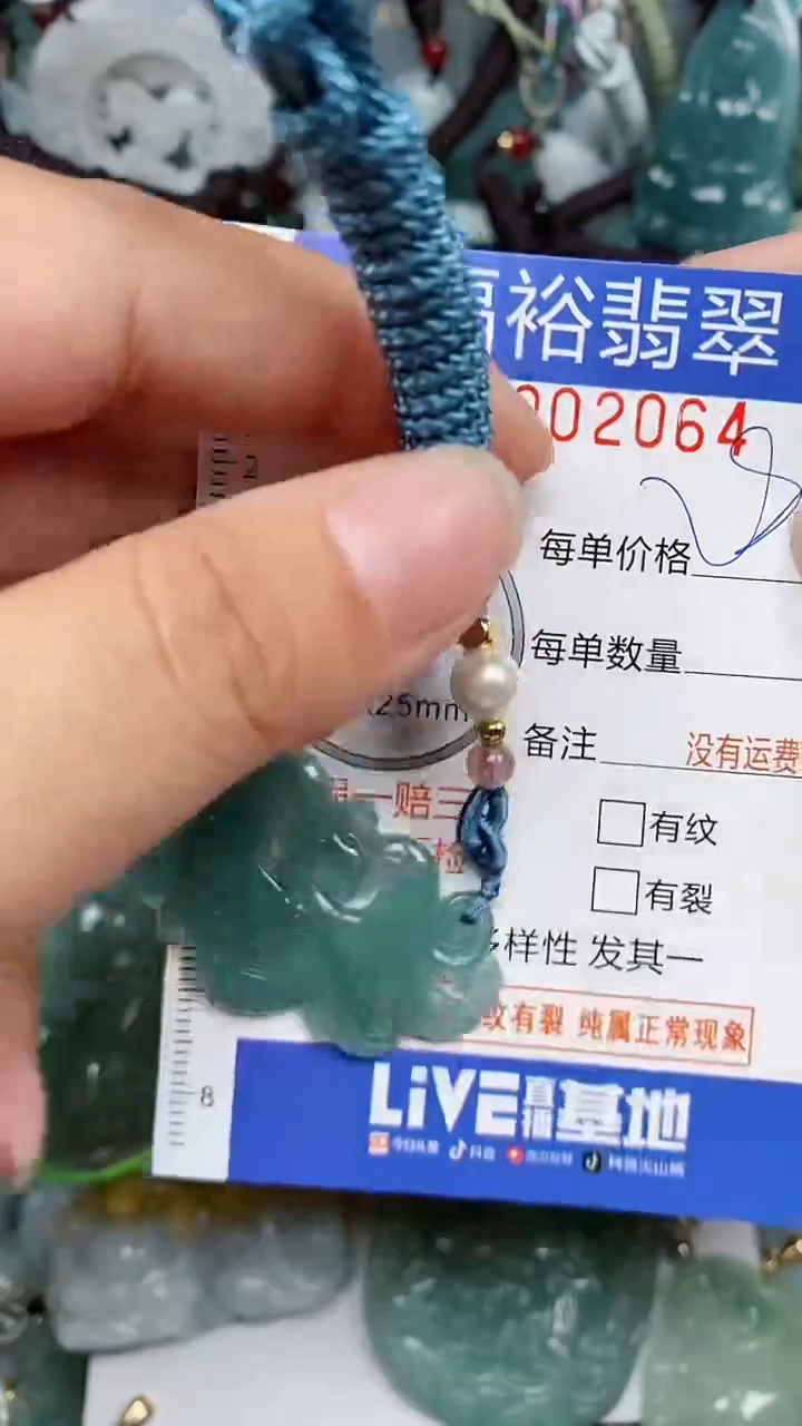 翡翠未镶嵌颈饰...0002064