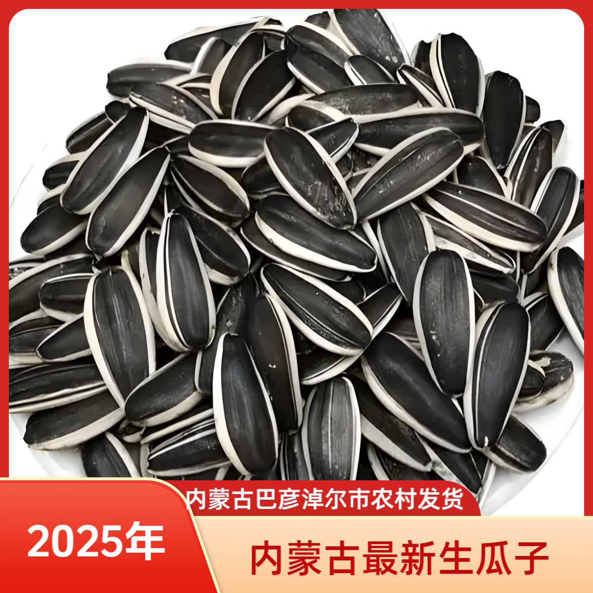 生瓜子特大颗粒2025年新货363（原味瓜子）生熟可选 内蒙古产地直发