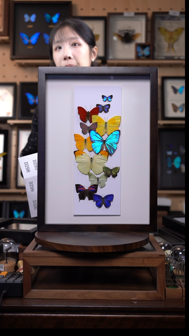 七彩祥云博物级别装裱收藏级d283