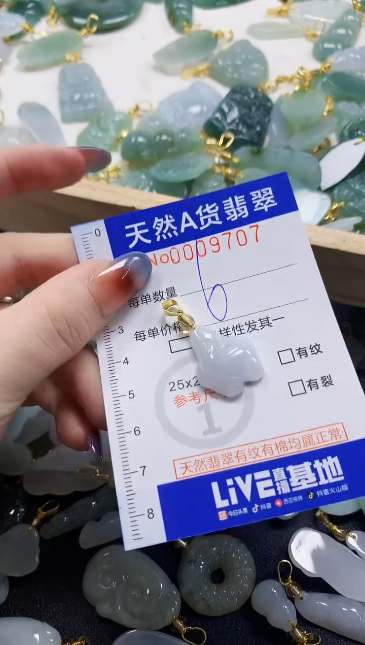 颈饰未镶嵌翡翠淡*泉天然A货翡翠