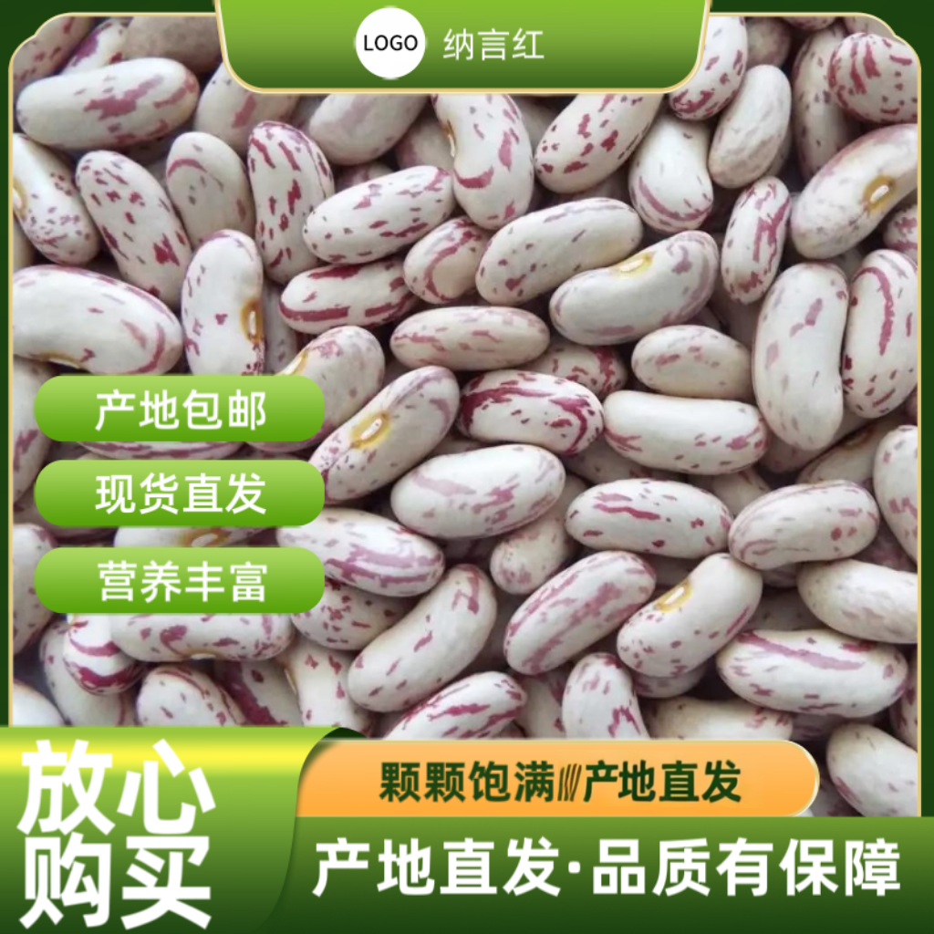 新鲜奶花芸豆可煮粥煲汤的营养五谷杂粮豆馅当季新粮