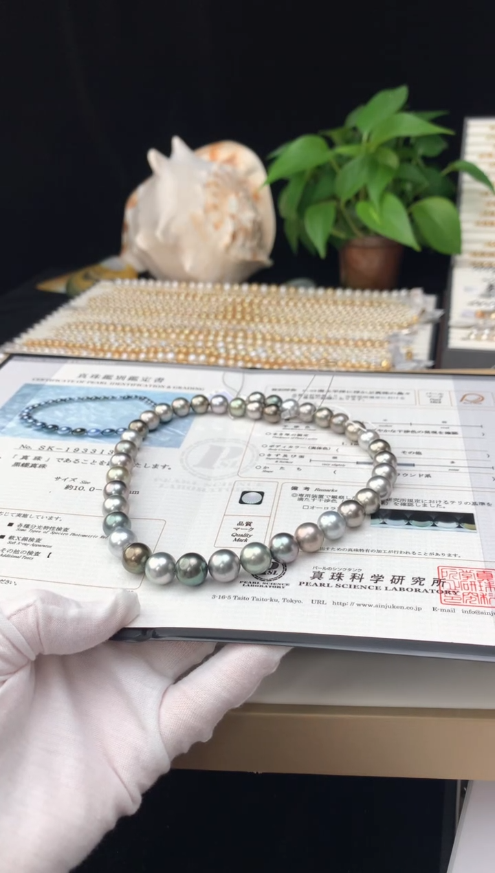 【闪购商品】海水珍珠颈饰银S925镶嵌海水大溪地珍珠项链10-12mm