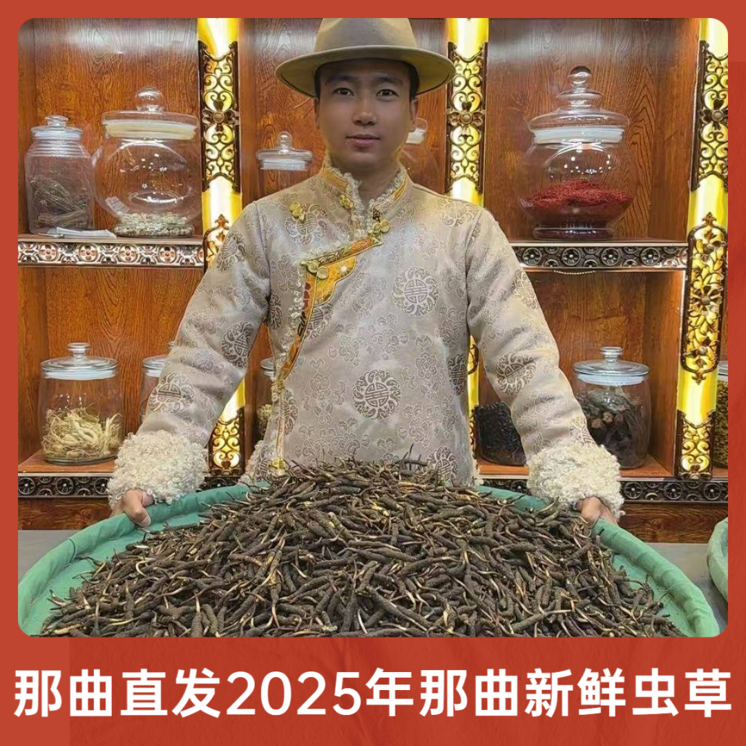 2025年西藏那曲比如头茬新鲜冬虫夏草 正宗鲜虫草 0.6克/根