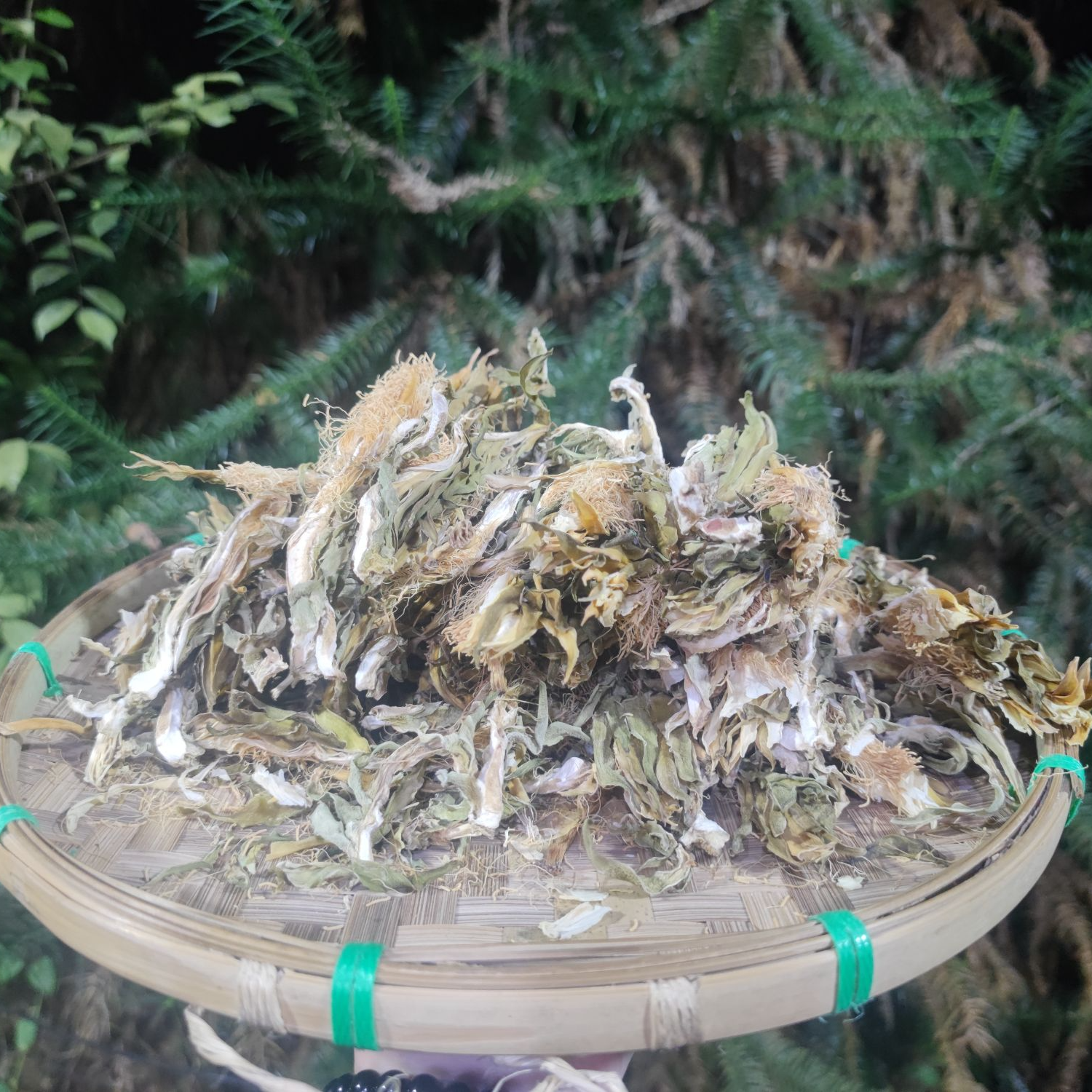 1【雪-莲-花】净含量：250g-500g【小英现收】