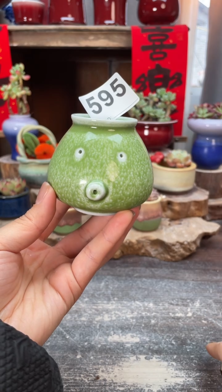 【闪购商品】595知木小芳花盆编号