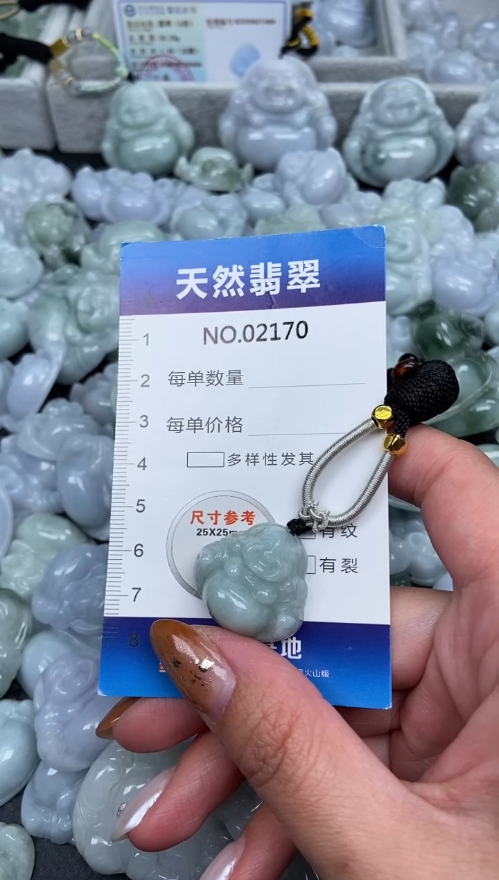 颈饰未镶嵌翡翠纯天然A货缅翡2170