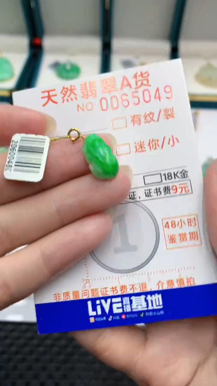 【闪购商品】翡翠颈饰18K金镶嵌            8