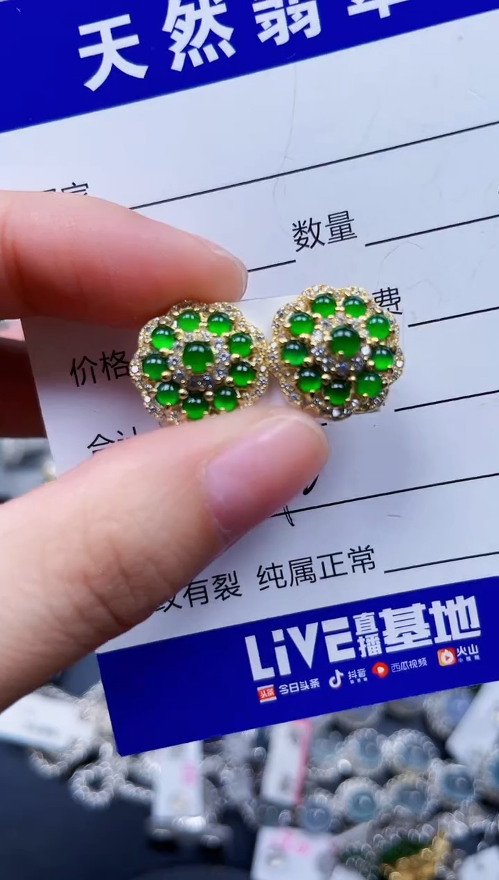 银S925镶嵌翡翠耳饰442